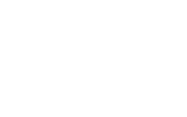 Leapmotor