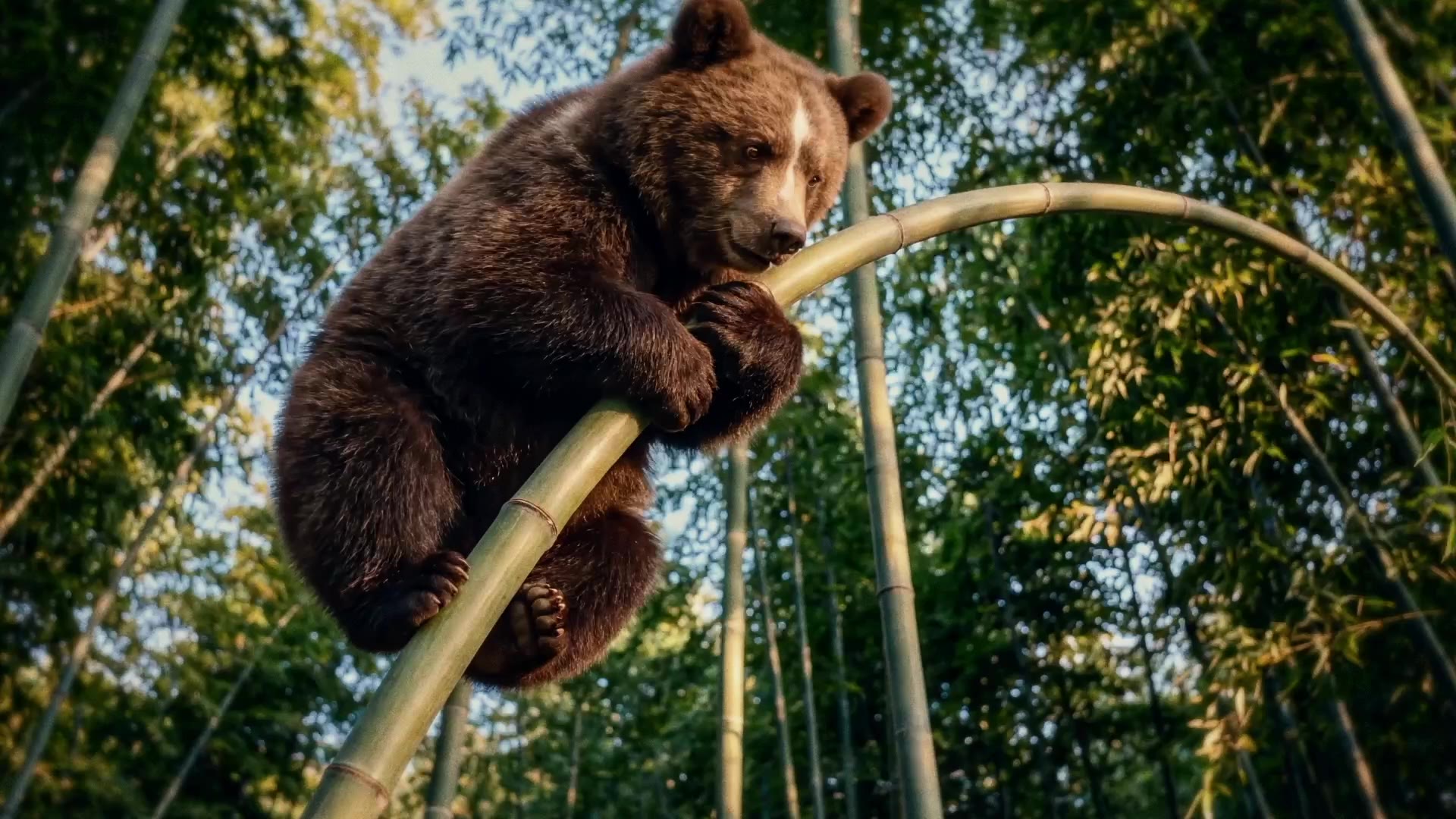 Fiat Grizzly, spot realizzato con l'AI da AiYR4